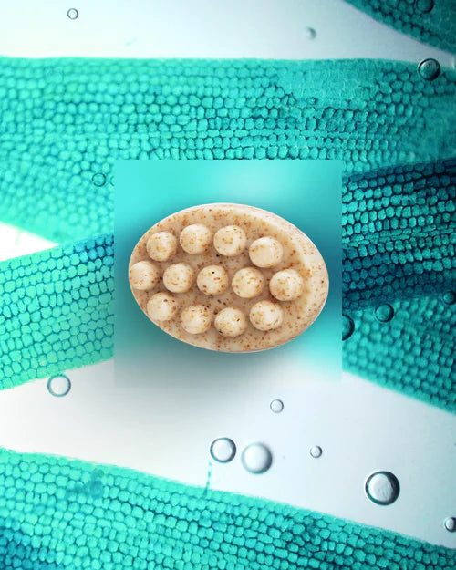 [Exfoliating] Body Soap