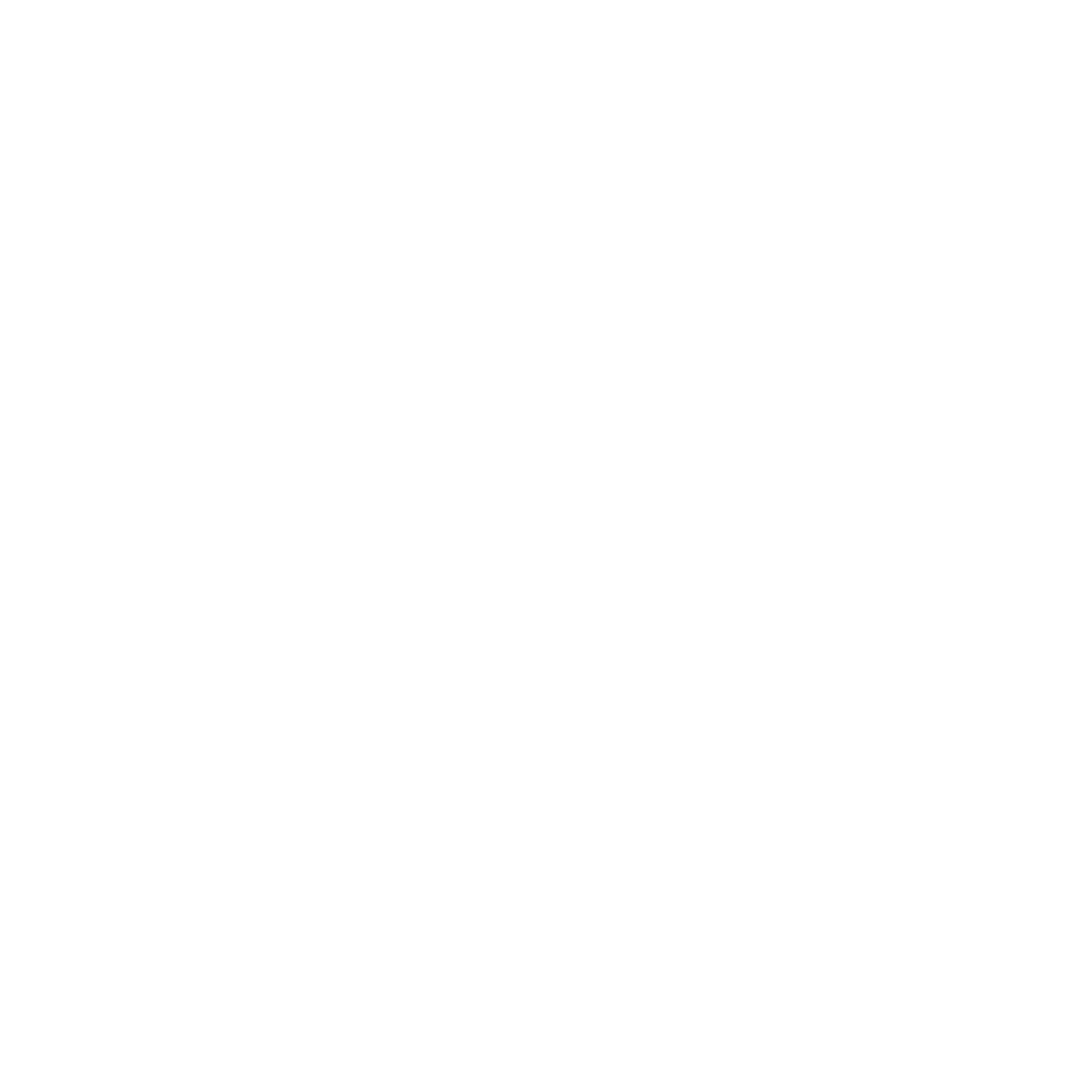 White Instagram logo displayed in the footer for Algotherm.