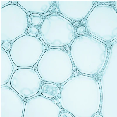 Hyaluronic Acid (HPM)